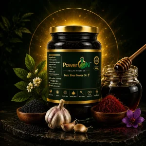 Power On (প্রাকৃতিক শক্তির নির্ভরযোগ্য সঙ্গী)